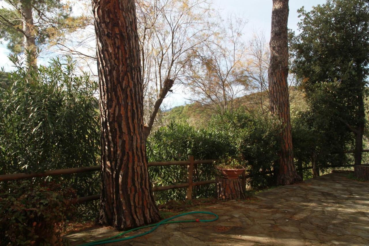 Villa Giulia Al Mare Castiglione della Pescaia Luaran gambar
