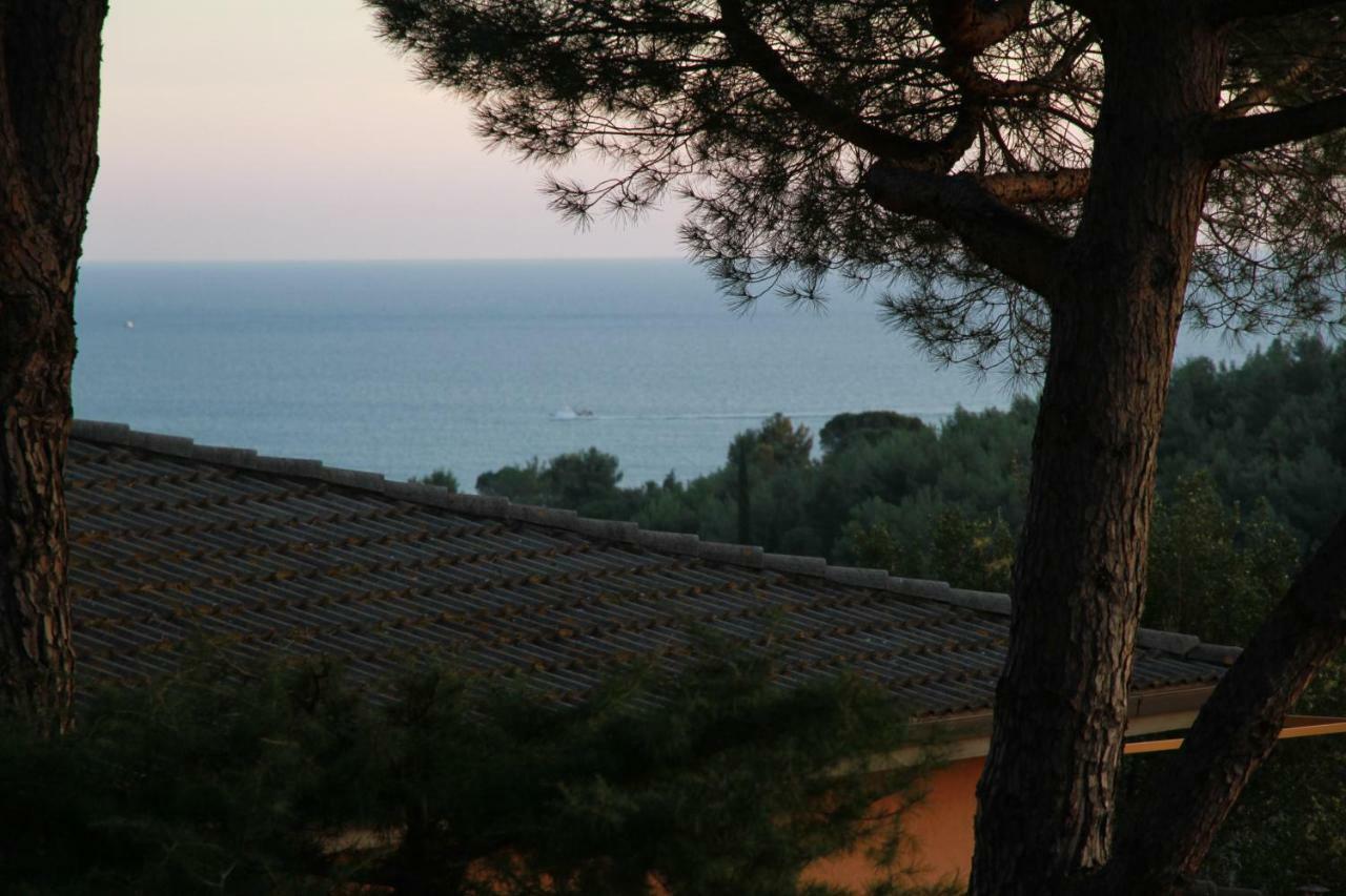 Villa Giulia Al Mare Castiglione della Pescaia Luaran gambar
