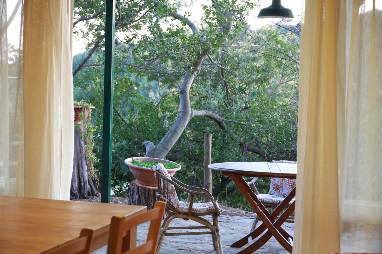 Villa Giulia Al Mare Castiglione della Pescaia Luaran gambar